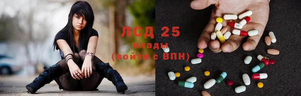 индика Балахна