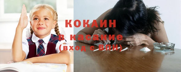 индика Балахна