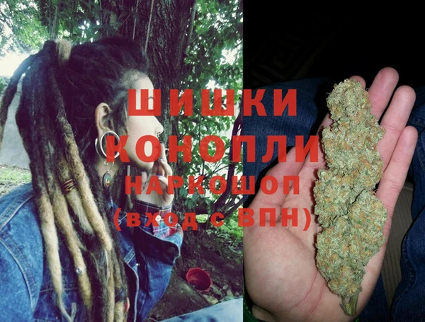 ПСИЛОЦИБИНОВЫЕ ГРИБЫ Балабаново