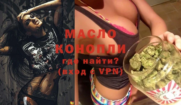 индика Балахна