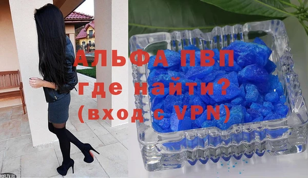 индика Балахна
