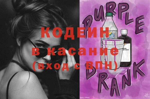 индика Балахна