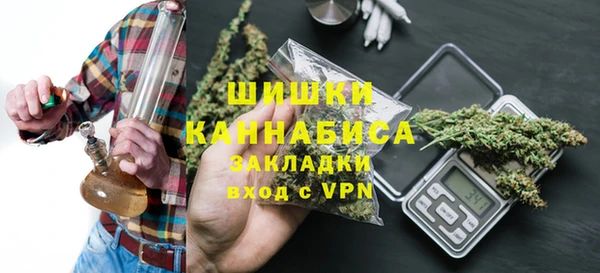 ПСИЛОЦИБИНОВЫЕ ГРИБЫ Балабаново