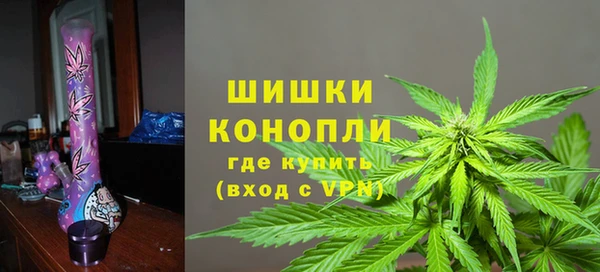 индика Балахна