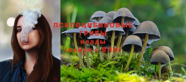 ПСИЛОЦИБИНОВЫЕ ГРИБЫ Балабаново