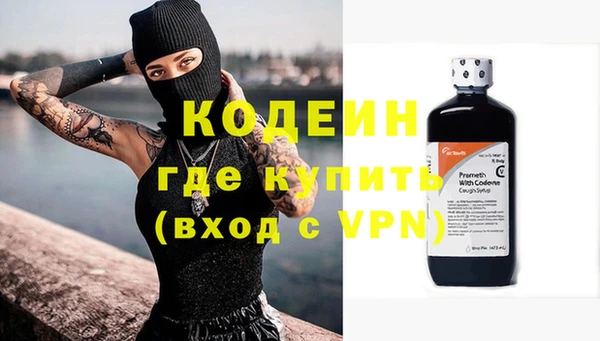 индика Балахна