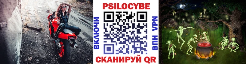 дарнет шоп  МЕГА маркетплейс  Псилоцибиновые грибы GOLDEN TEACHER  Шацк 